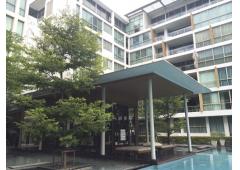 Penthouse at Ficus Lane