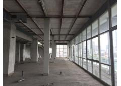 Penthouse at Ficus Lane