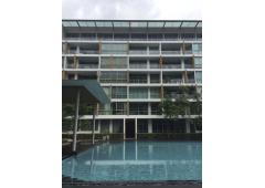 Penthouse at Ficus Lane
