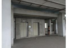 Penthouse at Ficus Lane