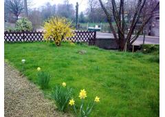 5 Bedroom House For Sale