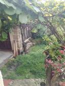 Semi-detached , partially renovated cottage, with garden and bodegas