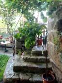 Semi-detached , partially renovated cottage, with garden and bodegas