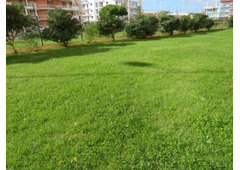 Fantastic Apartment T4 Duplex with garage - Heated Swimming Pool - São Martinho do Porto