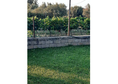 House with arable land 8.000 sq meters