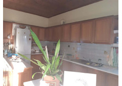 House with arable land 8.000 sq meters