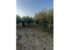 House with arable land 8.000 sq meters