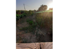 House with arable land 8.000 sq meters