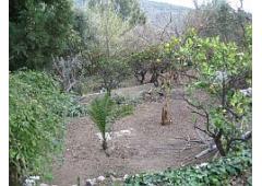 COMFORTABLE AND REFURBISHED 4 BEDROOM FINCA WITH COSY PATIO AND POOL PLUS A GARDEN.