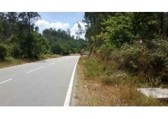 Plot of land in Barreiro de Besteiros, Viseu