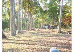 Beachfront land for sale in Padang Bai - Bali