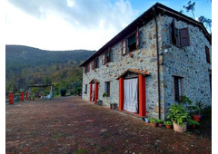 Beautiful farmhouse in the hills, Tuscany