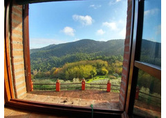Beautiful farmhouse in the hills, Tuscany
