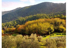 Beautiful farmhouse in the hills, Tuscany