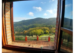 Beautiful farmhouse in the hills, Tuscany