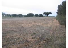 Land with 3,5 Acres