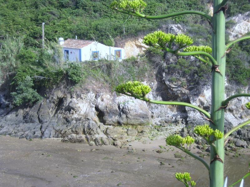 House for sale in Portugal Porto Covo » Property Sales,Rent Listing