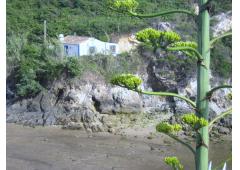 House for sale in Portugal