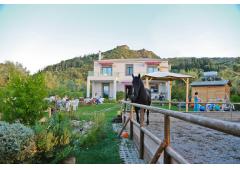 Villa near Patras