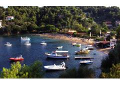Skiathos island property of 4,500 sm