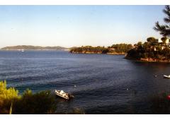 Skiathos island property of 4,500 sm