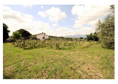Panoramic views, immersed in green, single villa in Tuscany