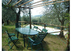Splendid villa  in Tuscany for sale
