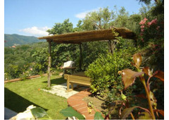 Splendid villa  in Tuscany for sale