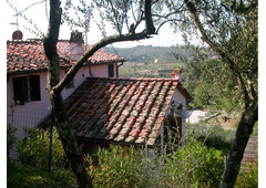 Splendid villa  in Tuscany for sale