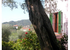 Splendid villa  in Tuscany for sale