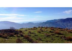 Bonita finca con cortijo en La Alpujarra, Granada