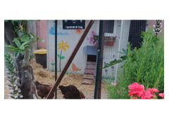 Small hobby farm near Taormina