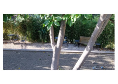 Small hobby farm near Taormina