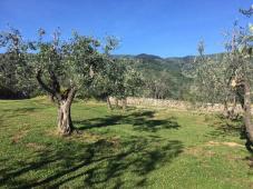 Elegant Villa on the slopes of Pratomagno