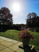 Pretty 3 bedroomed house in quiet hamlet near 86510 Brux in the Vienne