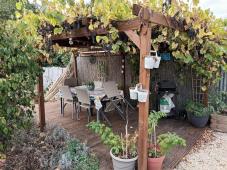 Pretty 3 bedroomed house in quiet hamlet near 86510 Brux in the Vienne