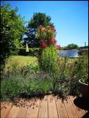 Pretty 3 bedroomed house in quiet hamlet near 86510 Brux in the Vienne