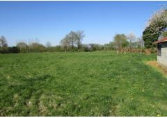 Rural House with 4 acre field in Lower Normandy