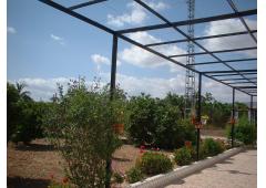 Finca (Detatched Villa)