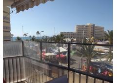 1 bed room Apartment