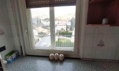 Penthouse with Panoramic Valley Views