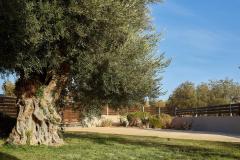 Detached Villa with Private Pool for sale in Hersonissos, Crete