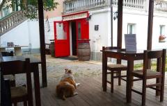 Rare Investment Opportunity In Liguria, Italy