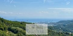 Prestigious historic detached house for sale in Vado