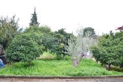 For Sale - Detached house  on the Euboea island