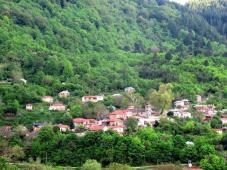 Buildable Land in East Zagori (4,000 sqm) - Ideal for Retreat, Eco-Tourism or Private Escape