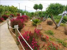 For sale 1-storey villa  in Crete