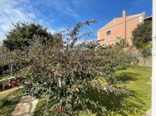 For Sale: Stunning Hilltop Villa with Panoramic Sea Views in Danilia