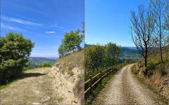 Panoramic Villa in Monferrato with Over 2 Hectares of Private Land for sale