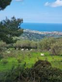 For Sale – Skyline 360 Estate – A Breathtaking Architect-Designed Retreat in Termini Imerese, Sicily